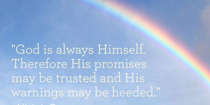 1440x2560 God's Promises: Wallpaper
