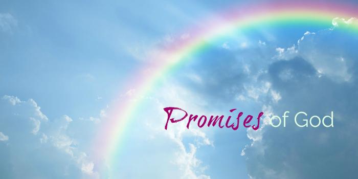 2508x1672 Standing On the Promises of God – Inside Out with Courtnaye