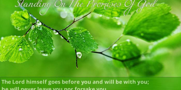 1680x1050 Standing On The Promises Of God #God #Scriptures #Messianic