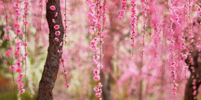 1920x1440 Ignoring God « loretta j. willis, author