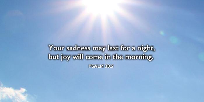 1067x800 365PROMISES - Daily Promise