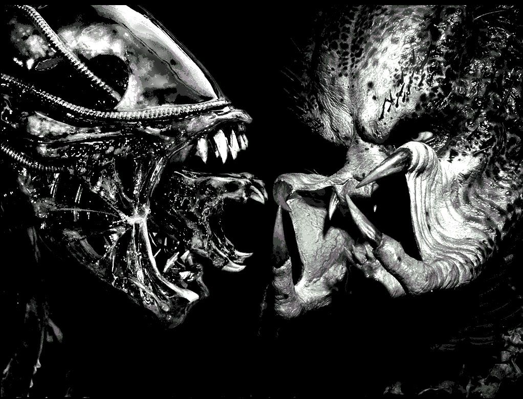 1022x780 Top HD Alien Vs Predator Wallpaper | Games HD | 239.36 KB