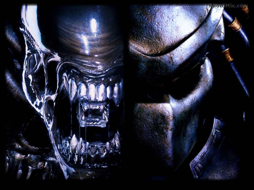 1024x768 Alien Vs. Predator Wallpapers