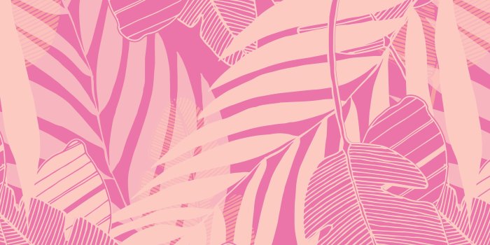 3867x2420 55+ Pink Laptop Wallpapers - Download at WallpaperBro