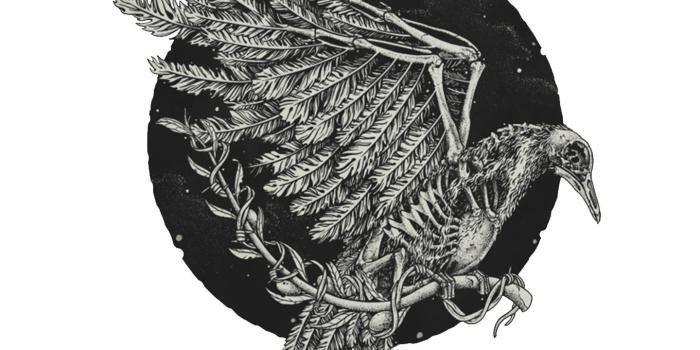 1440x1280 Crow Skull Wallpaper by Gmarsh22 - b1 - Free on ZEDGE™