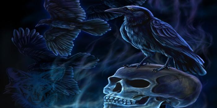 1920x1080 Bev Dowdy on skulls & skeletons in 2019 | Skull wallpaper, Hd