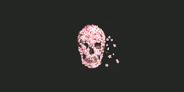 2560x1440 4512998 #Sugar Skull, #rose, #skull, wallpaper | General wallpapers