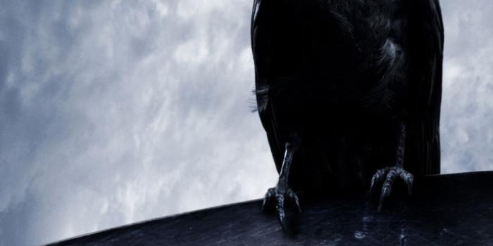 1080x1920 Crow Wallpaper (32+ images) on Genchi.info