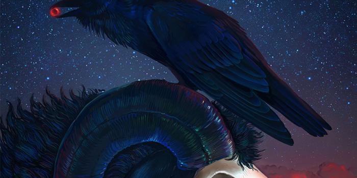 1280x801 Photos Crows Skulls Gothic Fantasy Fantasy