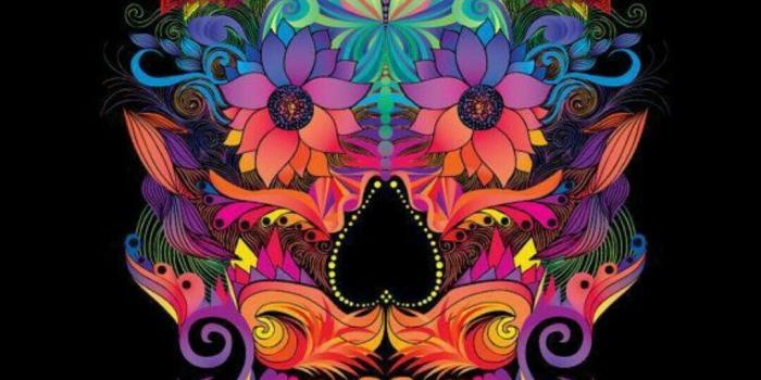 1080x1920 Candy Skull Wallpaper (104+ images in Collection) Page 2