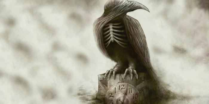 1920x1080 Crow iphone wallpaper