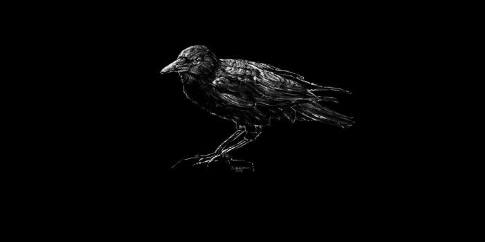 1280x800 Crow Wallpaper Group (45+), Download for free