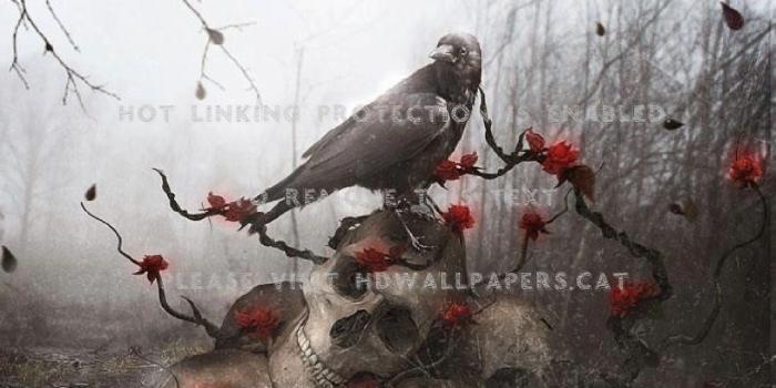 1280x1024 crow and skulls spider webs red flowers