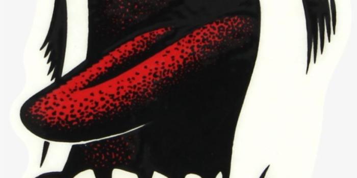 820x1361 Santa Cruz Skateboard Logos PNG Image | Transparent PNG Free