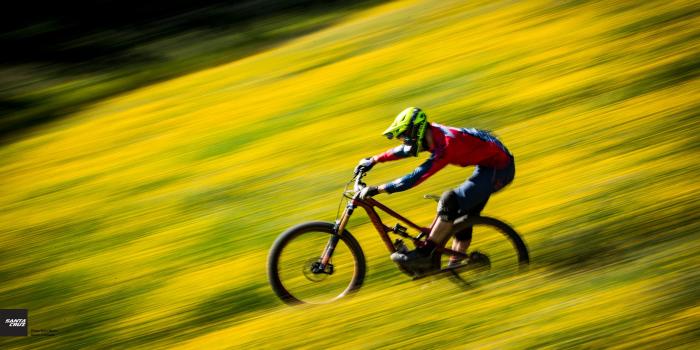 2560x1440 Santa Cruz Wallpapers (20+ images) on Genchi.info