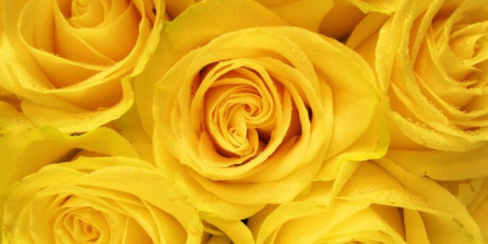 2560x1600 Yellow Aesthetic Desktop Wallpapers - Top Free Yellow Aesthetic