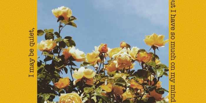 1242x2208 But: WallpapersByJenny #yellow #tumblr #aesthetic #wallpaper #roses