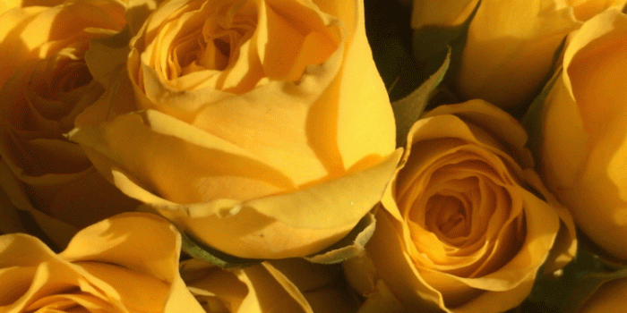 750x1334 Yellow Aesthetic Wallpapers - Top Free Yellow Aesthetic Backgrounds