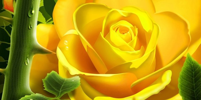 1440x900 Download 3d Wallpaper rose HD - 3d Wallpaper rose HD Download