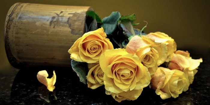 3840x2160 35+ Yellow Rose Wallpapers - Download at WallpaperBro