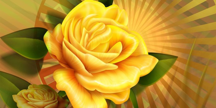 1920x1080 67+] Yellow Rose Background on WallpaperSafari