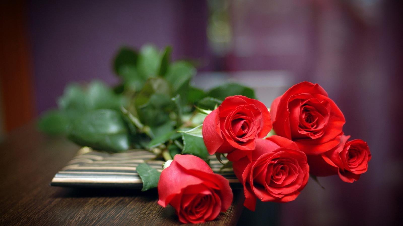 1920x1080 Love Red Roses HD Wallpaper, Background Images