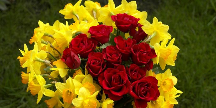 1920x1285 Yellow Rose Bouquet Wallpaper Hd (#1385486) - HD Wallpaper Download