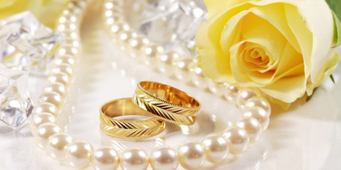 1920x1200 Wallpaper yellow roses Gallery