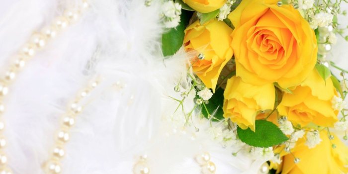 1920x1080 Yellow Roses Background (50+ images)