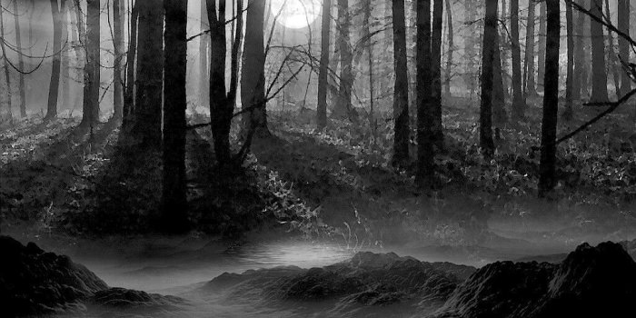 1024x768 Black And White Pictures Anime Forest 34 Wide Wallpaper - Dark