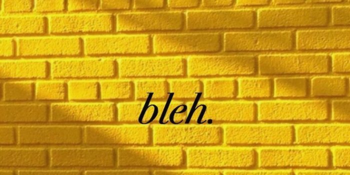 736x1308 Yellow Roses Aesthetic Wallpaper ✓ The Galleries of HD Wallpaper