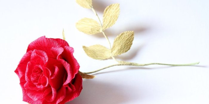 1024x768 Rose Background Wallpaper - (69+ images)