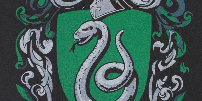1110x1400 Harry Potter Slytherin Crest wallpaper_Funny Wallpapers_download