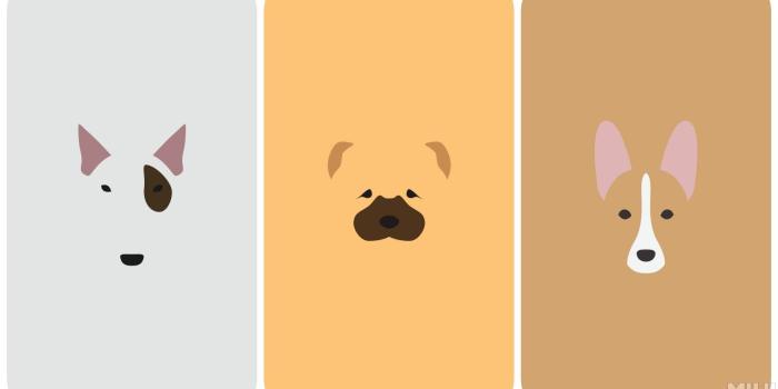 1600x900 Cartoon Puppy Wallpapers