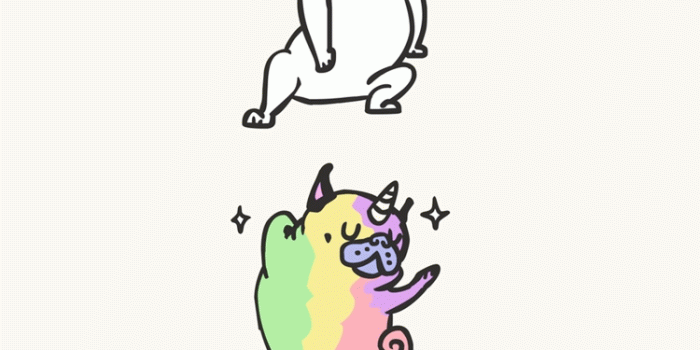 750x1334 locks ✨ #pugdesenho | slum dogs in 2019 | Cute dog wallpaper, Pug