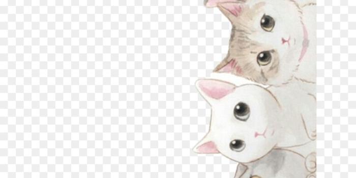 900x1260 Cats Cartoon png download - 700*1245 - Free Transparent Cat png