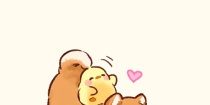 1370x2436 Malerei, dog puppy fid bird wuv #cutepuppylockscreen | Puppy in 2019