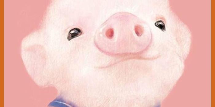 1592x2104 Cute Cartoon Wallpapers (69+ background pictures)