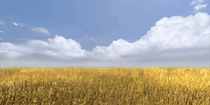 1680x1050 Ask Gabe Newell: Portal 2's Relationship Advice for Powerless