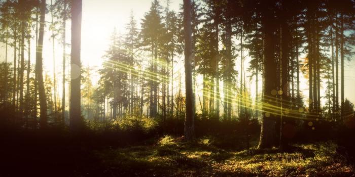 1920x1080 55+ Magic Screen Wallpapers - Download at WallpaperBro