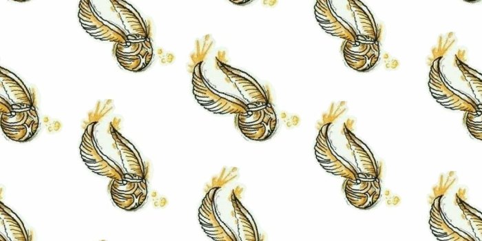 1080x1920 Wallpaper ~ Harry Potter ~ Pomo De Ouro - Harry Potter Pomo De Ouro