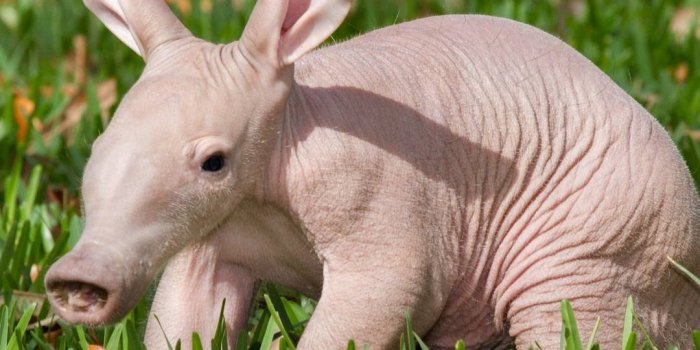 1080x1080 li.st: What's your patronus? by Jennifer (@jenniferm)