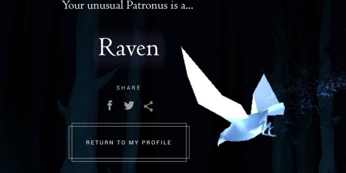 1073x1073 li.st: What's your patronus? by Jennifer (@jenniferm)