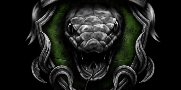 1920x2773 Digital illustration. Fan art. A redesign of each House Banner from