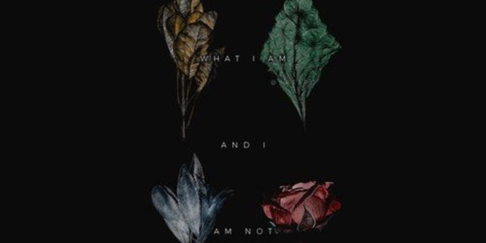 1920x3414 cafa1591 Hogwarts House Aesthetic Wallpapers by KAESPO Design