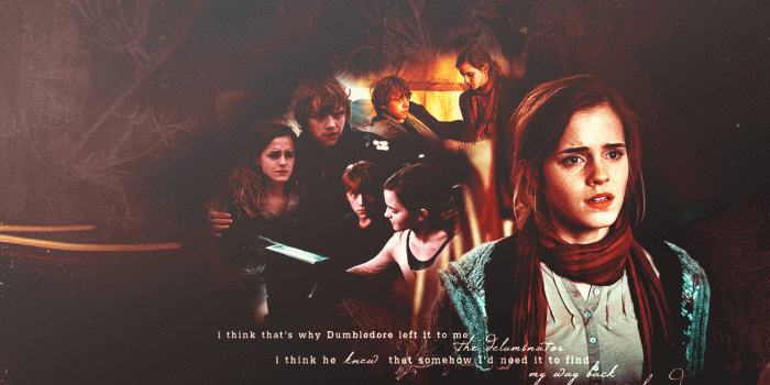 1280x800 Ron and Hermione - Harry Potter Love Triangle Wallpaper (34263857