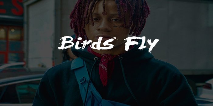 1600x900 Trippie Redd Type Beat 2019 | Birds Fly by Devin Beatz from Devin