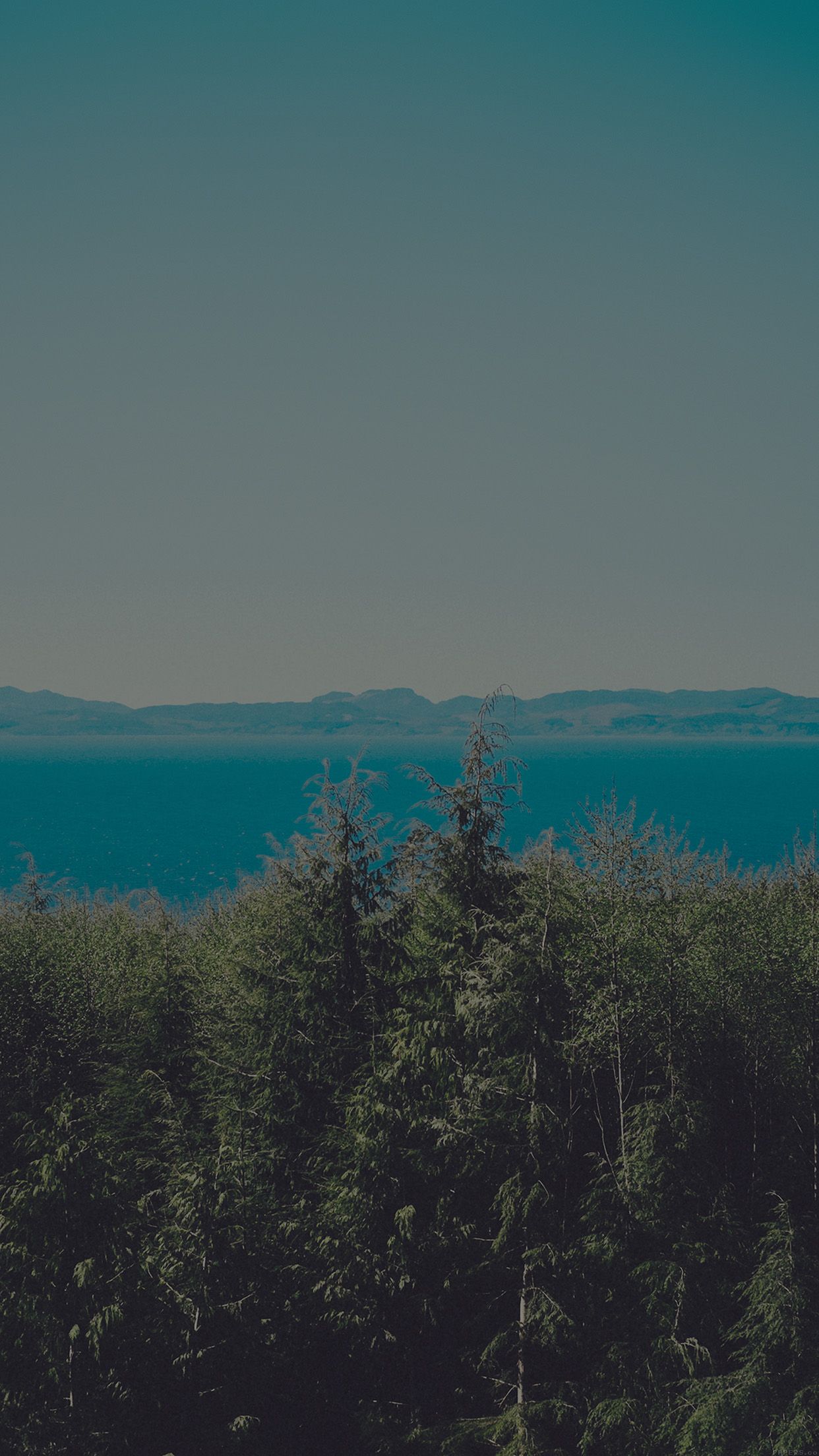 1242x2208 iPhone7papers.com | iPhone7 wallpaper | mp31-wood-lake-blue-nature