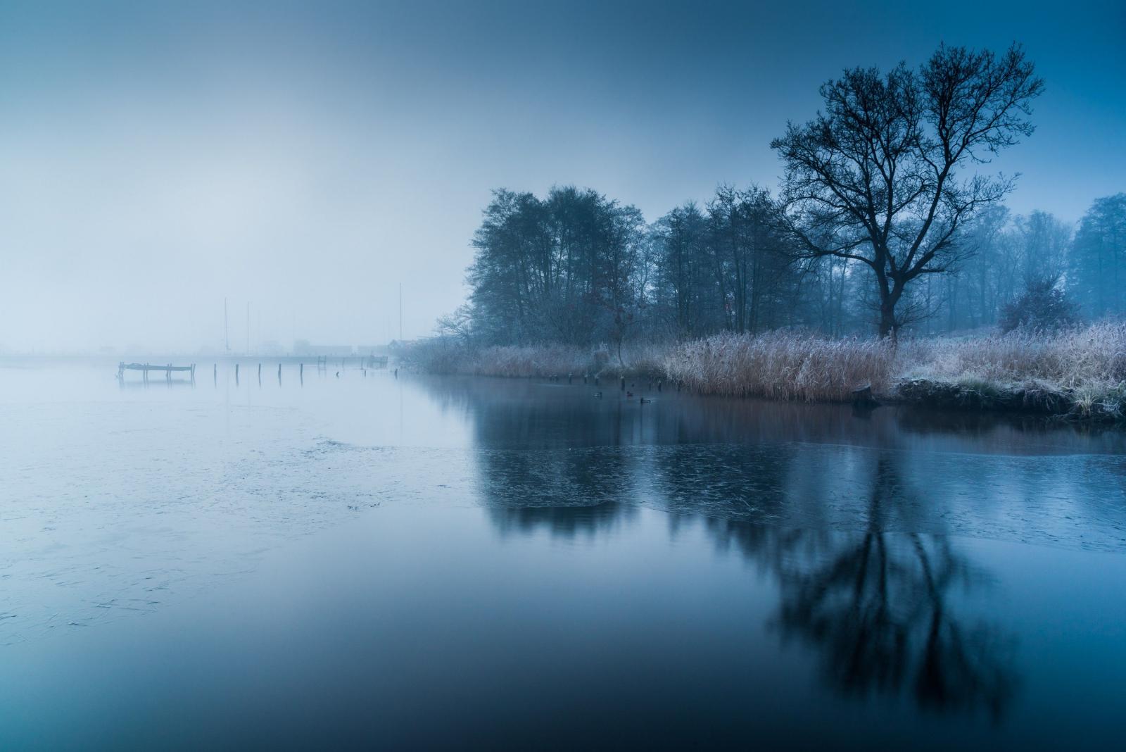 3000x2003 Trees, water, blue, nature, fog, The lake wallpaper | nature and