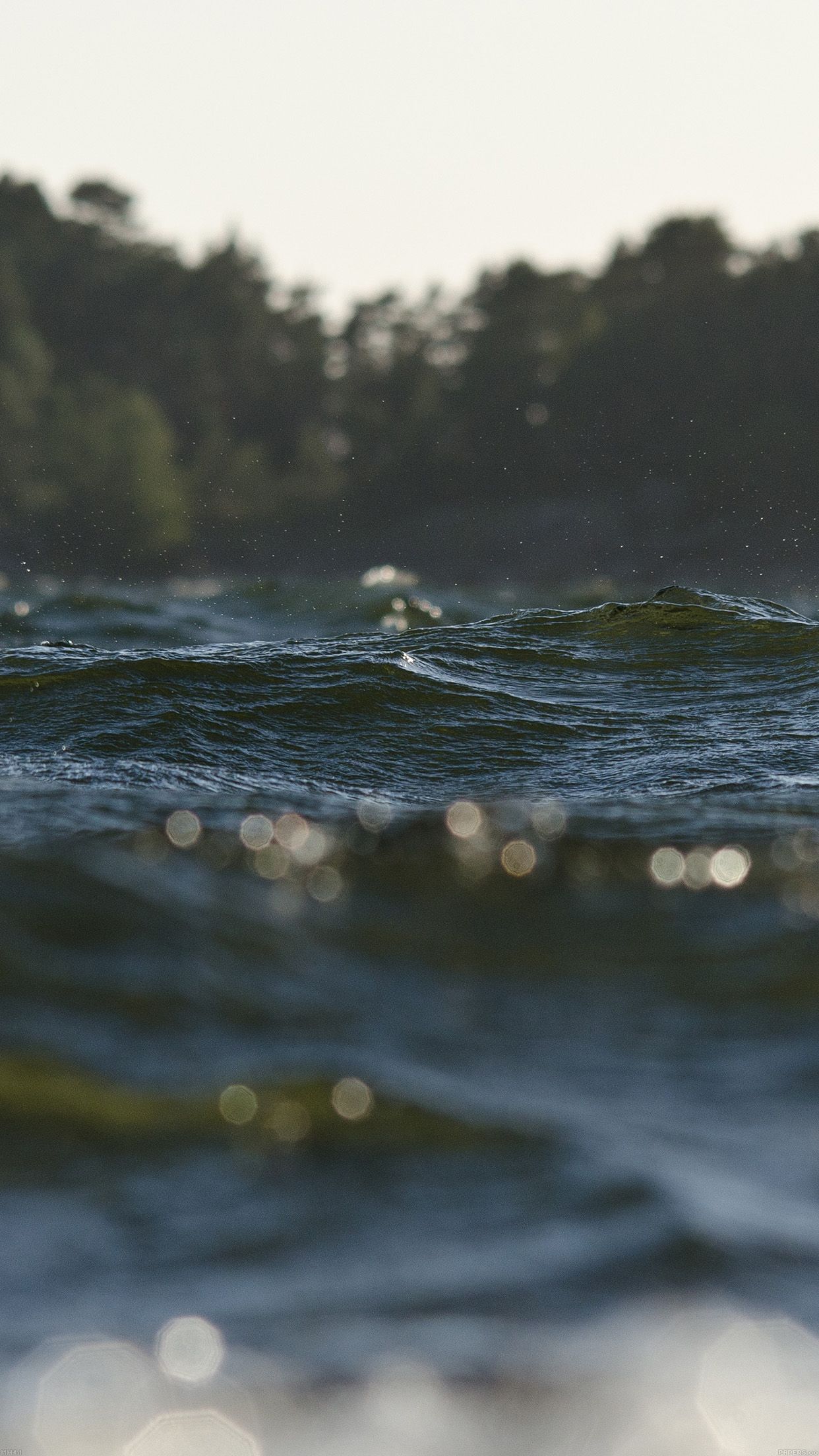 1242x2208 Water Drowning Lake Blue Nature Android wallpaper - Android HD